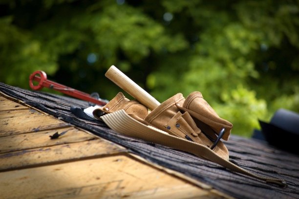 emergency-roof-repair Experts in Elkton